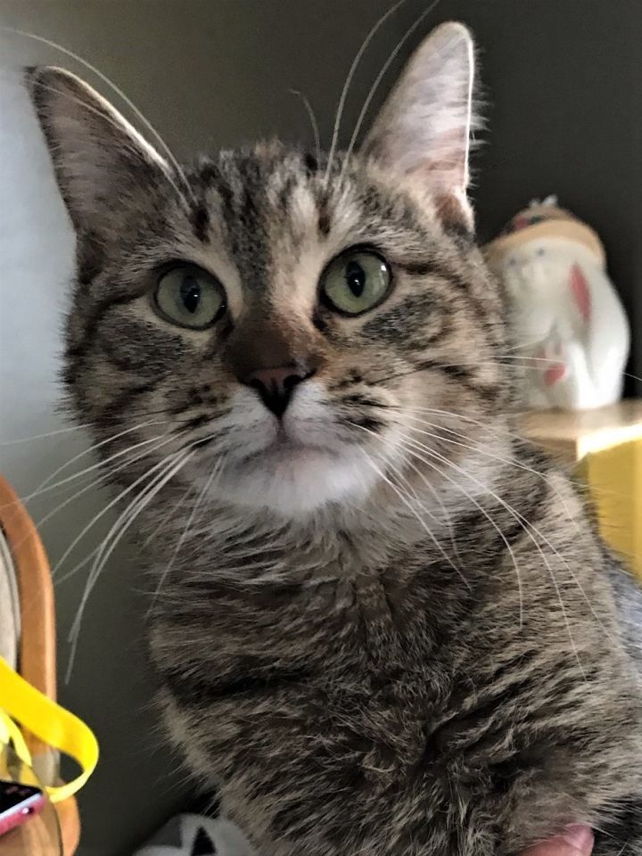 Wilma